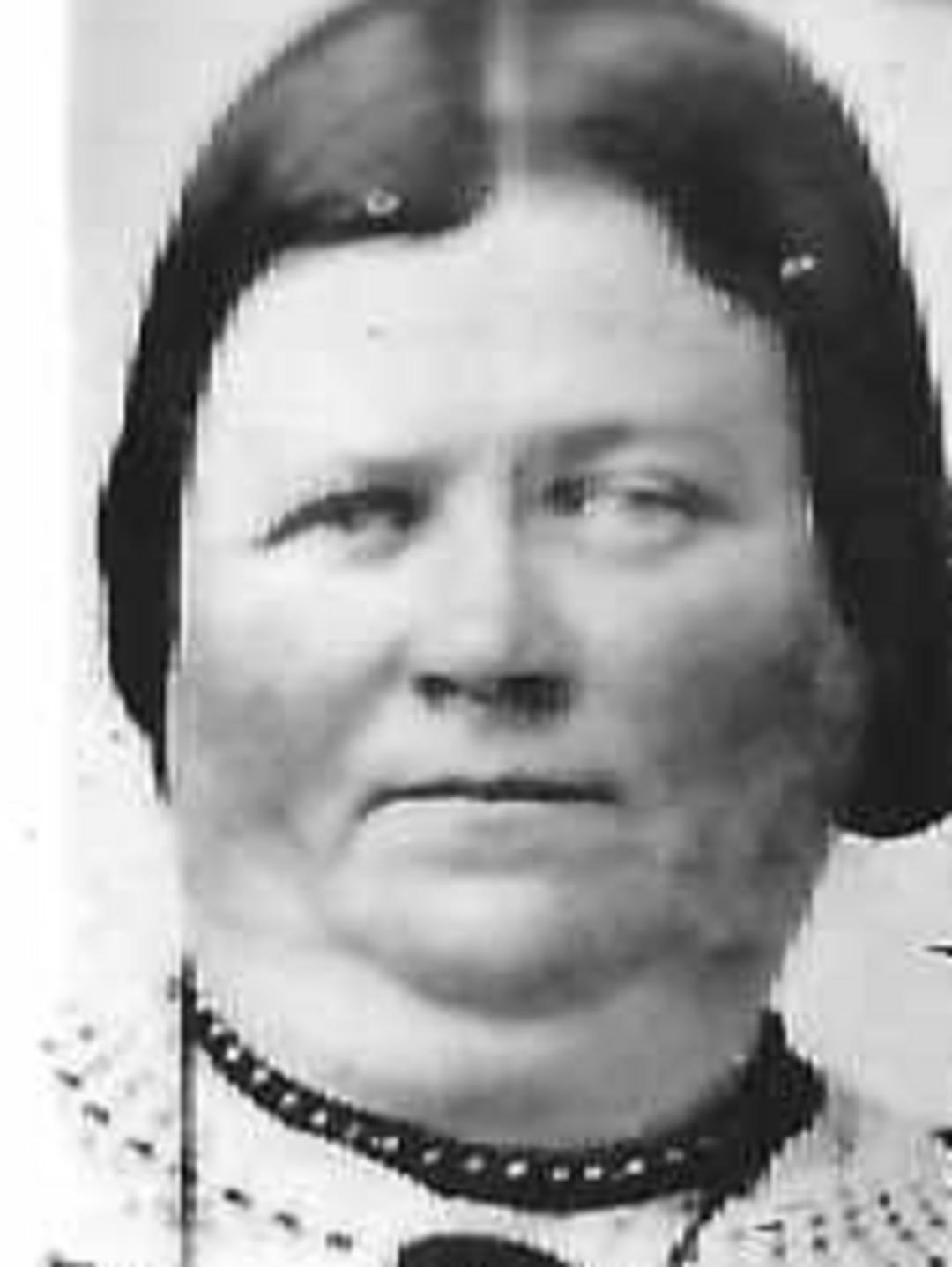 Eliza Abbey (1818 - 1890) Profile